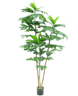 De Kunstplant Nangka 180 cm heeft meerdere dikke stengels en grote, glanzend groene bladeren in trossen en wordt geleverd in een kleine zwarte pot tegen een witte achtergrond.