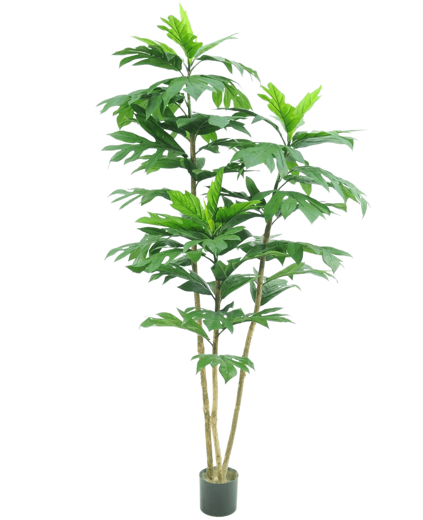 De Kunstplant Nangka 180 cm is een hoge kunstplant met meerdere slanke bruine stengels en grote, glanzend groene bladeren in een kleine zwarte pot, afgebeeld tegen een effen witte achtergrond.