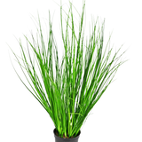De Kunst Grasplant Ui 58 cm brandvertragend is een hoog decoratief gras met slanke groene sprieten in een zwarte kunststof pot, afgebeeld tegen een effen witte achtergrond.