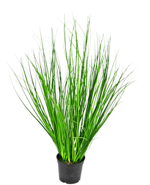 De Kunst Grasplant Ui 58 cm brandvertragend is een hoog decoratief gras met slanke groene sprieten in een zwarte kunststof pot, afgebeeld tegen een effen witte achtergrond.