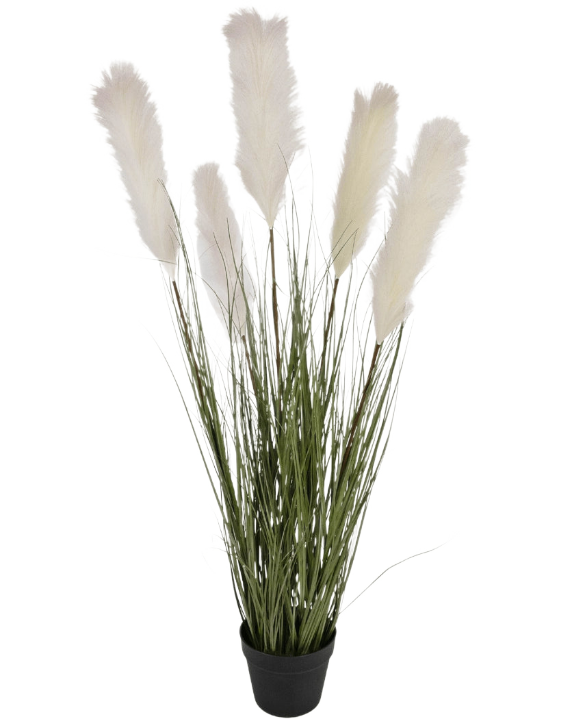 De Kunstgras stoffen riet-ui graspot 120cm brandvertragend heeft hoge groene grasachtige bladeren en pluizige witte pampaspluimen in een zwarte pot, tegen een effen witte achtergrond.