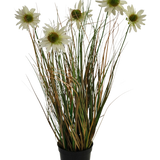 De Kunstgras chrysant uienpot 60cm brandvertragend heeft lange, dunne groene en bruine bladeren met meerdere hoge stelen met daarop witte margrietachtige bloemen met een geel hart.