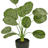 De Kunst Calathea 58 cm donker groen is een kunstplant met grote, ovale donkergroene gestreepte bladeren, weergegeven in een zwarte pot tegen een effen witte achtergrond.