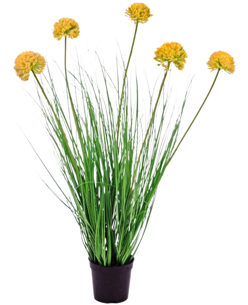 De Kunst Grasplant Ui 70 cm brandvertragend heeft lange, dunne groene bladeren en hoge stelen met ronde gele bloemtrossen, waardoor hij prachtig afsteekt tegen een witte achtergrond.