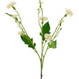 De Kunstbloem Daisy Spray 54 cm witstraal heeft een enkele groene steel met vertakte trossen kleine, witte margrietachtige bloemen en grillige groene bladeren, tegen een effen witte achtergrond.