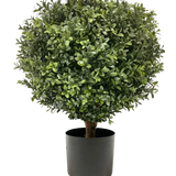 De Kunst Buxus op stam UV 40 cm is een ronde, bossige groene vorm met dichte bladeren in een eenvoudige zwarte pot, tegen een effen witte achtergrond.