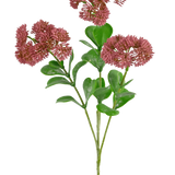 Een Kunsttak Sedum 56 cm roze met groen blad en trosjes kleine, ronde, piekerige rozerode bloemen tegen een witte achtergrond.
