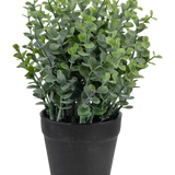 De Kunstplant Pumila 23 cm is een kleine groene potplant met ronde bladeren in een eenvoudige zwarte pot, afgebeeld tegen een witte achtergrond.