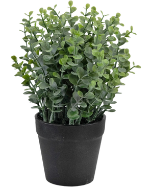 De Kunstplant Pumila 23 cm is een kleine kunstplant in pot met dichte groene bladeren in een eenvoudige zwarte pot, tegen een effen witte achtergrond.