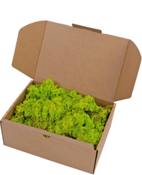 Mousse de Renne Vert Printemps 500 grammes