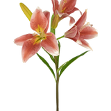 Op een steel van de Kunstbloem Aziatische Lelie 66 cm oud roze staan verschillende bloeiende roze lelies met groene bladeren tegen een effen witte achtergrond.
