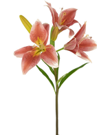 Een Kunstbloem Aziatische Lelie 66 cm oud roze steel heeft verschillende bloeiende oudroze lelies met gele hartjes en groene blaadjes tegen een witte achtergrond.