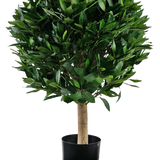 De Kunstplant Laurier UV d55 cm heeft een rechte stam en een dichte, ronde tros glanzend groene bladeren, gepresenteerd in een zwarte bak tegen een witte achtergrond.