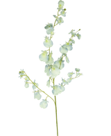 Een enkele steel van Kunsttak Orchidee 80 cm turquoise met delicate orchidee bloemen en dunne groene takken, geïsoleerd op een witte achtergrond.