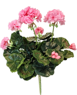 De Kunst Geranium 40 cm roze heeft een tros roze geraniumbloemen, verschillende groene ronde bladeren en meerdere stelen, mooi geïsoleerd op een witte achtergrond.