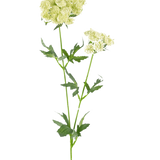 De Kunstbloem Kantbloem 76 cm wit is een enkele kunststengel met trosjes kleine, lichtgroen-witte bloemen en gekartelde, diep gelobde groene bladeren, tegen een effen witte achtergrond.