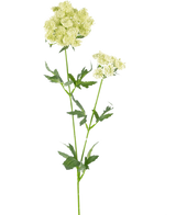 De Kunstbloem Kantbloem 76 cm wit heeft een lange groene stengel met gekartelde bladeren en trosjes kleine witte bloemen aan de bovenkant, geïsoleerd afgebeeld op een witte achtergrond.