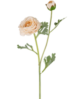 De Kunstranonkel Real Touch Crème 60cm heeft een steel met groene bladeren die twee crèmekleurige ranonkelbloemen ondersteunen - de ene volledig open, de andere nog in knop.