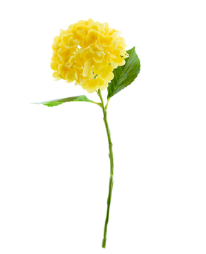 De Kunstbloem Charlotte hortensia Real Touch Geel 49 cm heeft een enkele gele hortensiabloem met groene bladeren en een lange steel, geïsoleerd op een witte achtergrond.