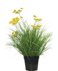 Plante de gazon artificiel Asteraceae 50 cm ignifuge