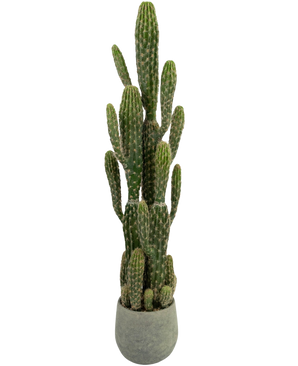 De Kunst Cactus 100 cm heeft een hoog groen ontwerp met meerdere rechtopstaande armen en een gestructureerd oppervlak, weergegeven in een ronde grijze pot.