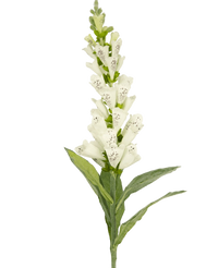 Fleur artificielle digitale 90 cm blanche