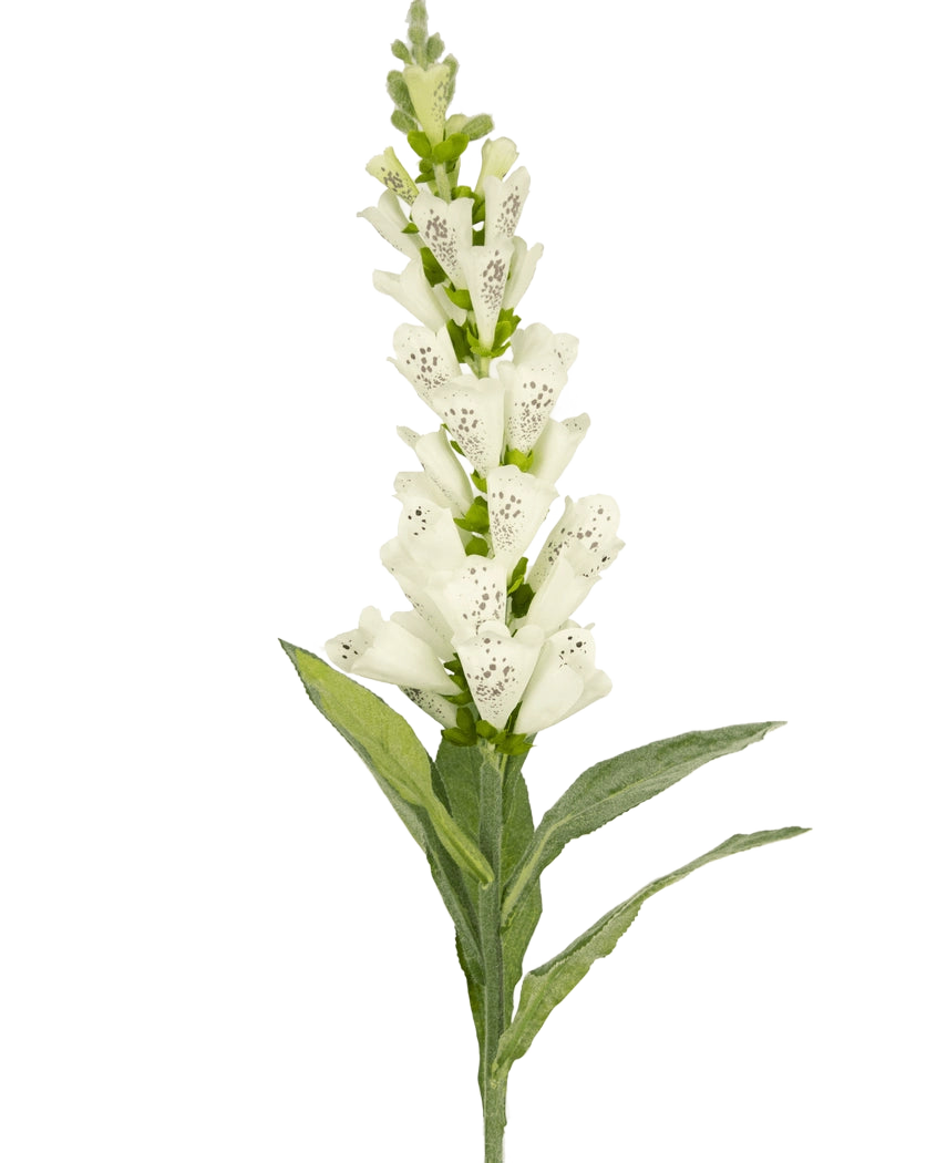 De Kunstbloem Vingerhoedskruid 90 cm wit heeft groene bladeren en witte, gevlekte buisvormige bloesems - ideaal voor luxe decoratie of als opvallend accent in een kunstbloemen boeket.