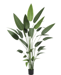 Plante artificielle Héliconia 210 cm