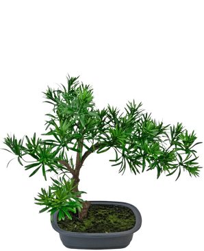 De Kunstplant Bonsai Podocarpus 40 cm heeft dicht groen gebladerte in een ondiepe rechthoekige grijze pot met mos, perfect om een natuurlijke stijl toe te voegen aan elke ruimte.