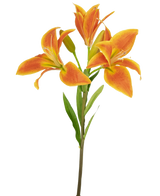 De Kunstbloem Aziatische Lelie 66 cm oranje heeft vier bloeiende oranje lelies en een gesloten knop met lange groene bladeren, prachtig tegen een witte achtergrond.