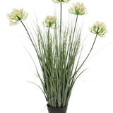 De Kunstgras witte Agapanthus uiengraspot 90cm brandvertragend is een kunstplant in pot met hoge groene bladeren en zes trossen kleine, lichtgele bloemen op lange stelen, tegen een effen witte achtergrond.