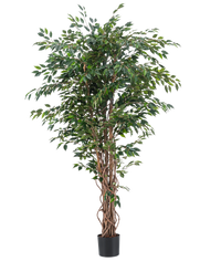 Plante artificielle Ficus Liane 180 cm