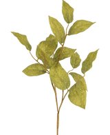 Een enkel Kunsttak appelblad 70 cm met meerdere dunne takken en groene, getextureerde bladeren tegen een effen witte achtergrond - ideaal voor luxe bloemstukken.