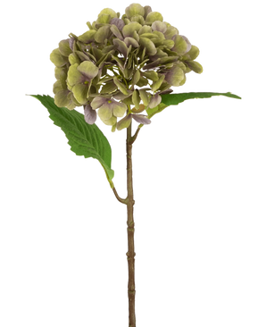 De Kunst Hortensia Deluxe 55 cm groen/paars heeft een enkele hortensiastam met trossen lichtgroene en paarse bloemblaadjes en twee grote groene bladeren, tegen een effen witte achtergrond.