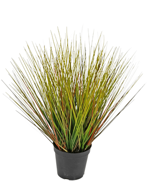 De Kunst Grasplant Onion 50 cm brandvertragend heeft hoge, dunne, grasachtige groene en geelachtige bladeren met roodbruine vleugjes, dicht op elkaar en uitwaaierend naar buiten in een zwarte plastic pot.