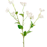 Het Kunstkornoelje Real Touch Wit 74cm heeft een enkele hoge steel met meerdere takken van delicate witte bloemen en groene bladeren, tegen een effen lichte achtergrond.