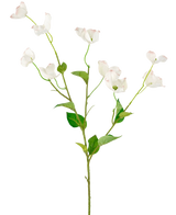 Het Kunstkornoelje Real Touch Wit 74cm heeft een enkele steel met meerdere takken van witte kornoelje bloemen en groene bladeren, geïsoleerd op een witte achtergrond.