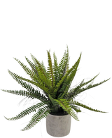 De Kunstplant Boston Varen 48 cm heeft lange, smalle groene bladeren en wordt geleverd in een ronde grijze sierpot, geïsoleerd afgebeeld op een witte achtergrond.