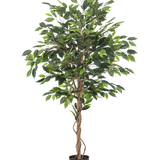 De Kunstplant Ficus 150 cm brandvertragend heeft groene bladeren en meerdere slanke, gedraaide bruine stammen in een zwarte pot. Het brandvertragende materiaal zorgt voor extra veiligheid in elke ruimte.