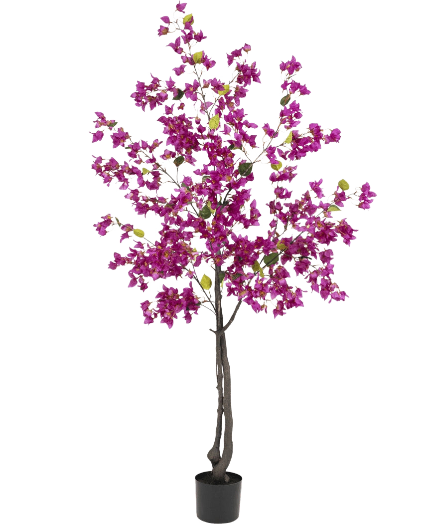 De Kunstplant Bougainvillea 180 cm Paars heeft donkere takken, levendige paarse bloemen en groene bladeren in een zwarte pot - perfect als kleurrijke kunstplant voor je woonkamer.