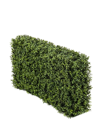 Haie de buis artificielle 100x20x50 cm UV