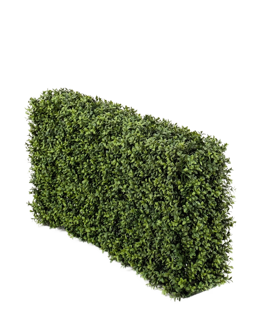De Kunst Buxushaag UV 100x20x50 cm heeft een dichte, groene rechthoekige haag tegen een effen witte achtergrond.