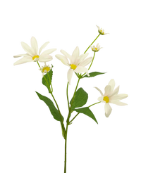 Fleur artificielle Margriet 60 cm blanc/rose