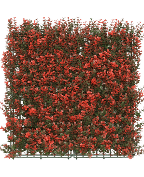 De Kunsthaag Buxus rood 50x50 cm UV is een vierkant paneel van kunstgroen met dichte, kleine groene bladeren en levendige rode bloemtrossen op een kunststof drager, afgebeeld tegen een witte achtergrond.