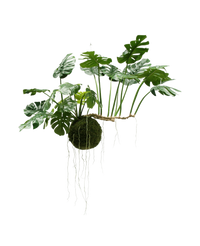 Plante artificielle suspendue Monstera Deluxe 80 cm