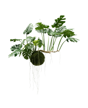 De Kunst hangplant Monstera Deluxe 80 cm heeft weelderige groene gespleten bladeren op een ronde mosbal met lange hangende wortels, die tropische charme en de aantrekkingskracht van kunstplanten toevoegen, prachtig geïsoleerd op een witte achtergrond.