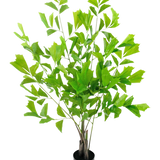 De Kunstplant Fishtailpalm 120 cm heeft meerdere lange, slanke stelen met heldergroene, waaiervormige bladeren tegen een effen witte achtergrond.