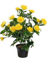 De Kunstplant Mini Rose 35 cm geel heeft levendige gele rozen en weelderige groene bladeren in een zwarte pot, tegen een witte achtergrond.