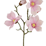 De Kunst Magnolia Real Touch Roze 72cm heeft meerdere lichtroze magnolia bloemen en knoppen met een geel hart op groene stelen, tegen een effen witte achtergrond.
