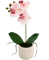 De Kunst Orchidee Real Touch 30 cm roze/wit heeft lichtroze en witte bloemen, een lange groene steel, brede groene bladeren en zichtbare wortels in een eenvoudige witte pot tegen een witte achtergrond.
